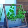 Mira Modern Garden Trellis Jr.