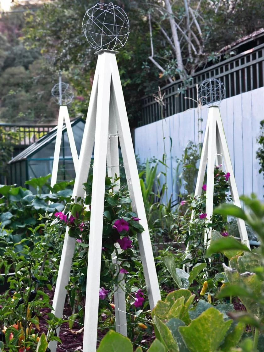 Akoris Garden Tuteur Jr. 8 Akoris Garden Tuteur Jr. - Image 8