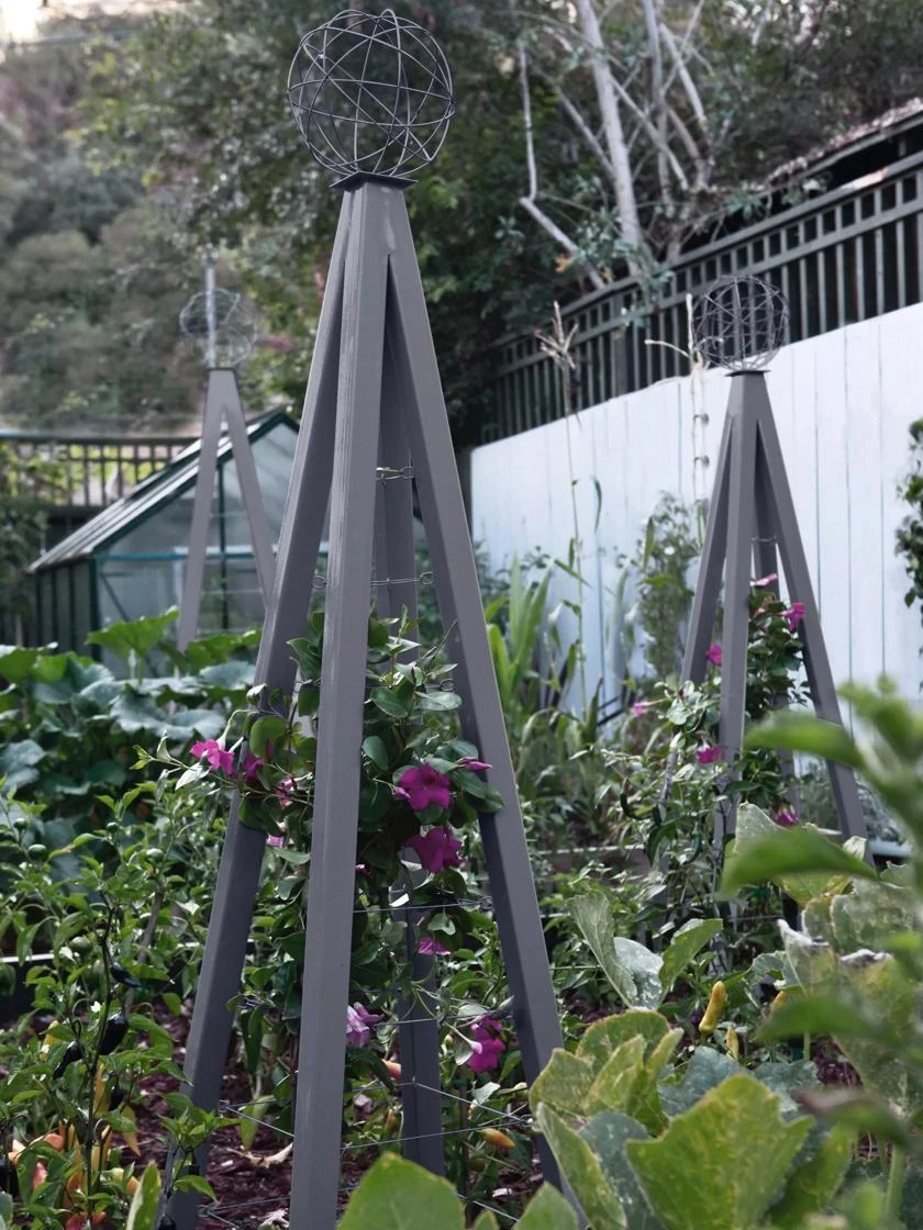 Akoris Garden Tuteur Jr. 2 Akoris Garden Tuteur Jr. - Image 2