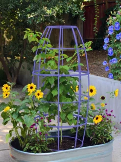 Toki Bubble Trellis -Deals The Garden & Yard Store 8600520 02V tif