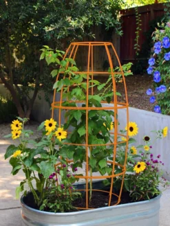 Toki Bubble Trellis -Deals The Garden & Yard Store 8600520 03V tif