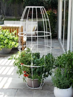 Toki Bubble Trellis -Deals The Garden & Yard Store 8600520 05V tif