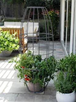 Toki Bubble Trellis -Deals The Garden & Yard Store 8600520 07V jpg