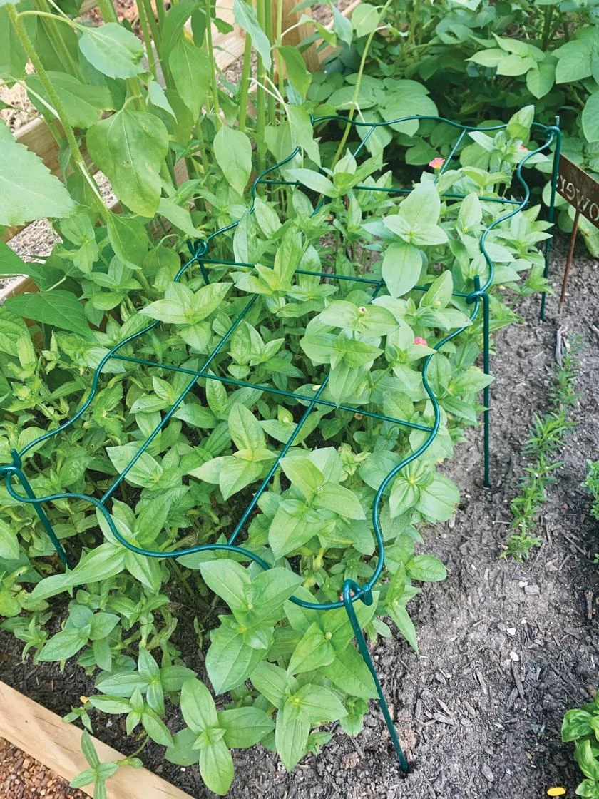 Cut Flower Grid Support, Set Of 2 1 Cut Flower Grid Support, Set Of 2