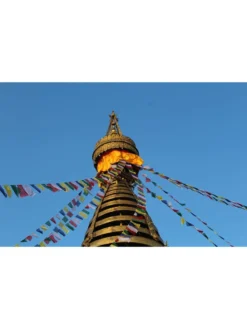 Tibetan Prayer Flags -Deals The Garden & Yard Store 8600646 04v