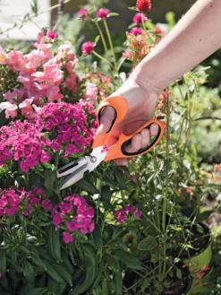 Gardener's Multi Purpose Scissors -Deals The Garden & Yard Store 8608655 19551 tif