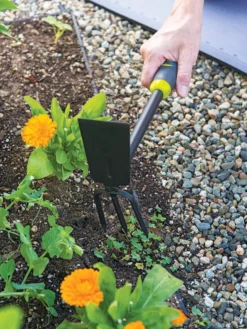 Gardener's 2-in-1 Short Handle Hoe And Cultivator 7 Gardener's 2-in-1 Short Handle Hoe And Cultivator -Deals The Garden & Yard Store 8608657 19474 tif