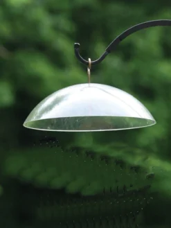Birds Choice Hanging Dome With Brass Hanger