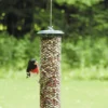 Birds Choice Magnet Mesh Peanut Feeder