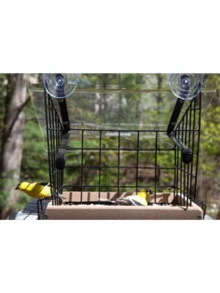Birds Choice Window Mount Bird Feeder Kits -Deals The Garden & Yard Store 8608818 01v