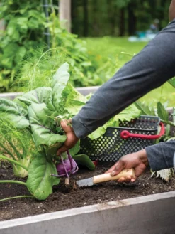 Gardener's Lifetime Hori Hori Knife -Deals The Garden & Yard Store 8608888 0422 tif