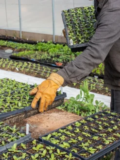 The Vermonter By Vermont Glove -Deals The Garden & Yard Store 8608918 08v