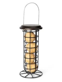 Suet Ball & Feeder Combo Set -Deals The Garden & Yard Store 8608919 4427