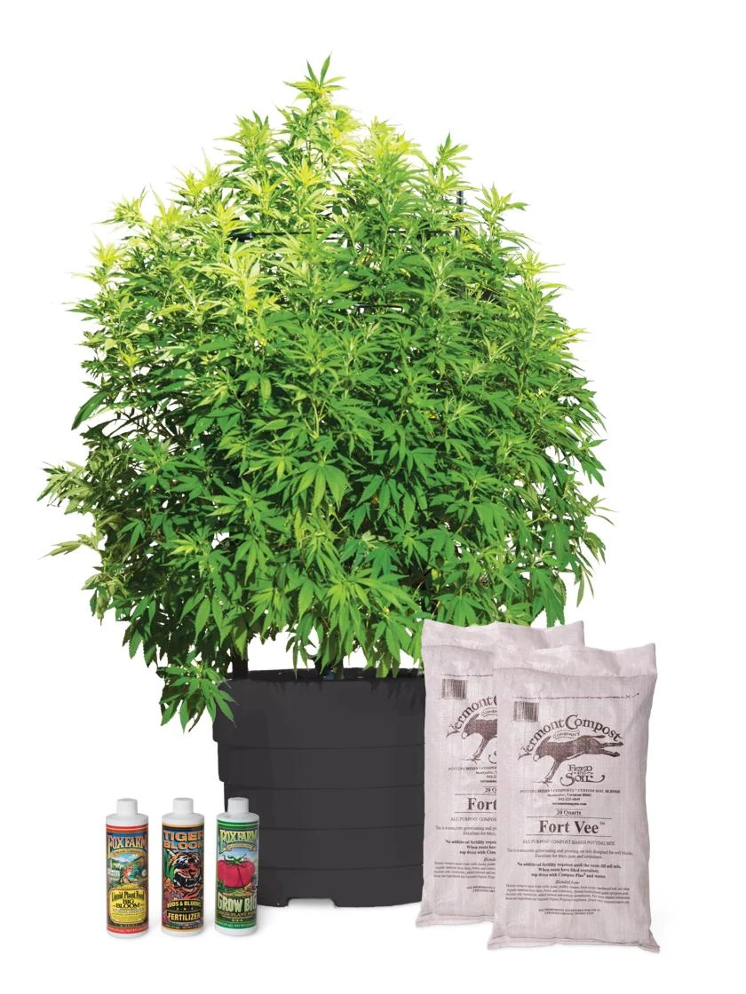 Victory Hemp Success Kit 1 Victory Hemp Success Kit