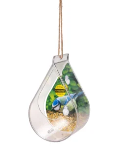 Dewdrop Window Bird Feeder -Deals The Garden & Yard Store 8609061 4447 tif