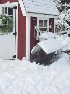 Chicken Wire Crop Coop -Deals The Garden & Yard Store 8609080 03IN tif