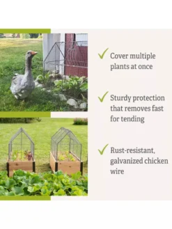 Chicken Wire Crop Coop -Deals The Garden & Yard Store 8609080 2