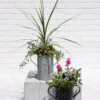 Metal Bucket Planters