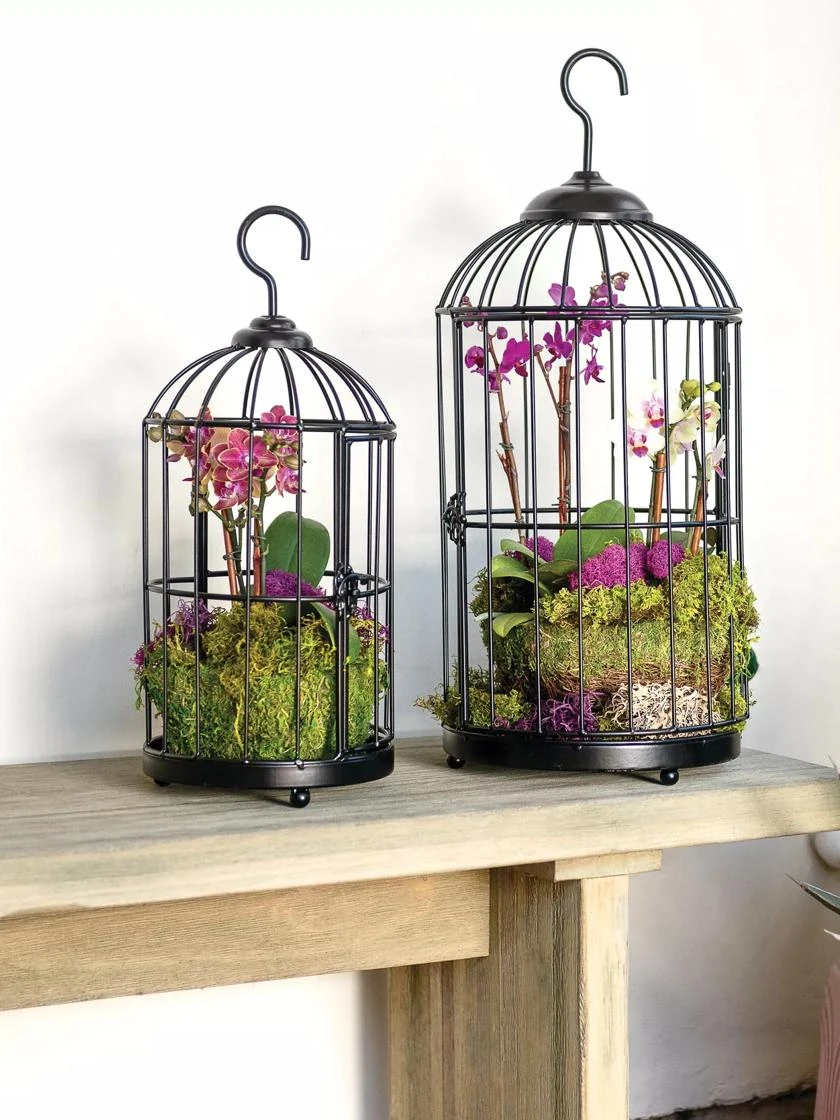 Hanging Birdcage Planter Set 2 Hanging Birdcage Planter Set - Image 2