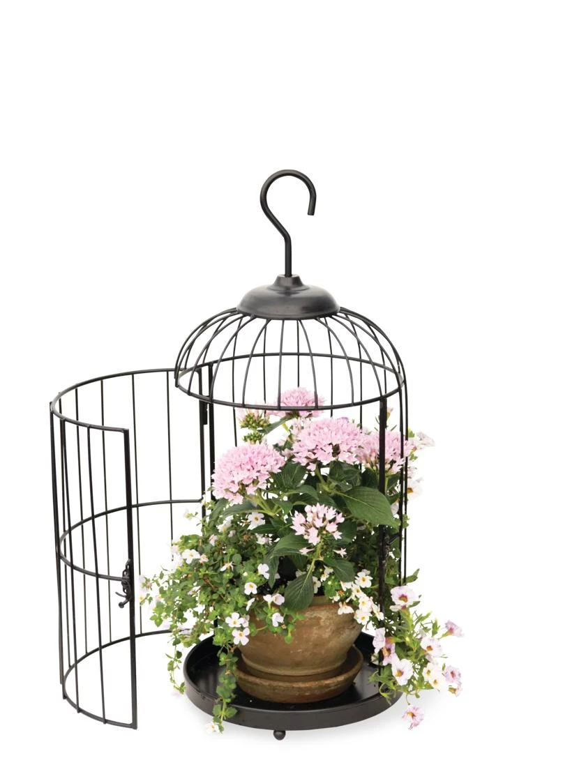 Hanging Birdcage Planter Set 1 Hanging Birdcage Planter Set
