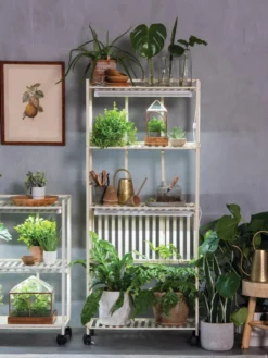 Oslo 4-Tier LED Grow Light Garden -Deals The Garden & Yard Store 8609188 4118 tif