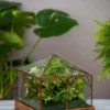 Art Decco Copper And Glass Terrariums