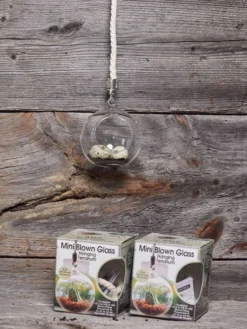 Mini Blown-Glass Hanging Terrarium, Set Of 2 -Deals The Garden & Yard Store 8609218 01v