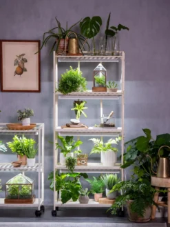 Oslo 4-Tier LED Grow Light Garden -Deals The Garden & Yard Store 8609220 4116 tif