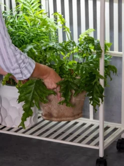 Oslo 2-Tier LED Grow Light Garden, 2 Fixtures -Deals The Garden & Yard Store 8609220 4122 tif