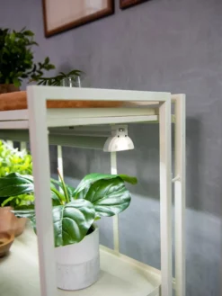 Oslo 2-Tier LED Grow Light Garden, 2 Fixtures -Deals The Garden & Yard Store 8609221 4101 tif