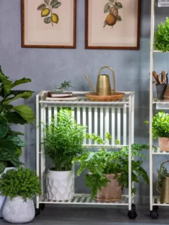 Oslo 2-Tier LED Grow Light Garden, 2 Fixtures -Deals The Garden & Yard Store 8609221 7236 tif