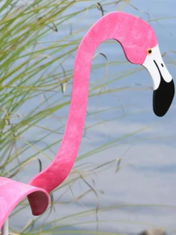 Florida Dancing Birds®, Flamingos -Deals The Garden & Yard Store 8609442HP 02V jpg