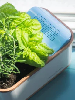 Dewplanter 8 Dewplanter -Deals The Garden & Yard Store 8609512 04V