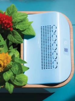 Dewplanter 7 Dewplanter -Deals The Garden & Yard Store 8609512 Dewplanter