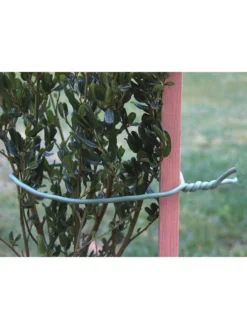 Deals The Garden & Yard Store -Deals The Garden & Yard Store 8609848 01v