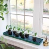 Self-Watering Windowsill Tray
