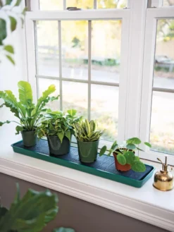 Self-Watering Windowsill Tray 7 Self-Watering Windowsill Tray -Deals The Garden & Yard Store 8609873 9011 tif