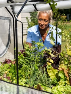 VegTrug®Patio Garden Greenhouse Cover Kit -Deals The Garden & Yard Store 8610172 1256