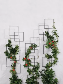 Building Blocks Wall Trellis, 45" 6 Building Blocks Wall Trellis, 45" -Deals The Garden & Yard Store 8610183 5811 tif