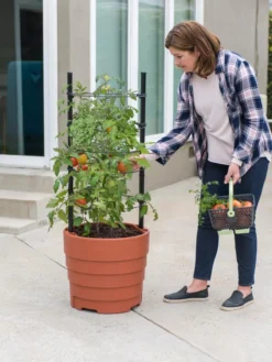 Gardener’s Victory Self-Watering Planter Garden Kit 10 Gardener’s Victory Self-Watering Planter Garden Kit -Deals The Garden & Yard Store 8610239 06002 tif