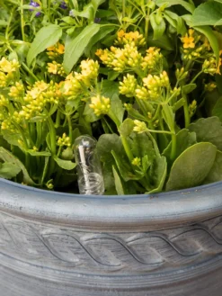 Adjustable Self-Watering Insert For Pots And Planters -Deals The Garden & Yard Store 8610250 0010 tif