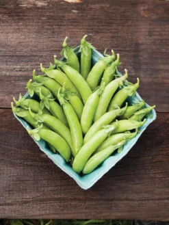 Family Garden Organic Seed Collection, Set Of 7 9 Family Garden Organic Seed Collection, Set Of 7 -Deals The Garden & Yard Store 8610262 cascadia peas 01V tif