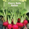 Cherry Belle Radish Organic Seeds