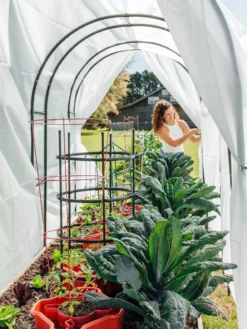 Maxi Garden Hoops With Clips 11 Maxi Garden Hoops With Clips -Deals The Garden & Yard Store 8610373 377 tif