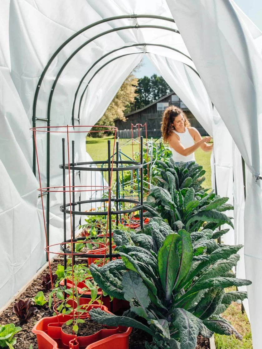 Maxi Garden Hoops With Clips 4 Maxi Garden Hoops With Clips - Image 4