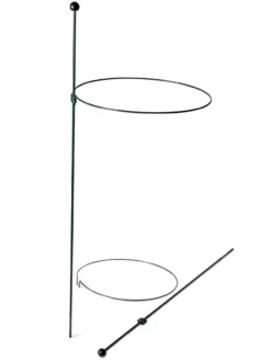 Peacock Classic Plant Support Rings 15", Set Of 2 -Deals The Garden & Yard Store 8610384 9562 tif