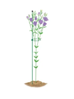 Peacock Mini Plant Support Rings 4", Set Of 2 -Deals The Garden & Yard Store 8610386 peacock4x36