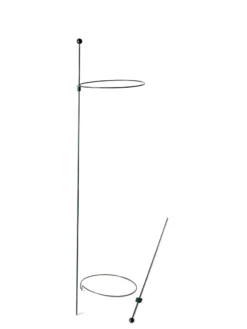 Peacock Mini Plant Support Rings 8", Set Of 2 13 Peacock Mini Plant Support Rings 8", Set Of 2 -Deals The Garden & Yard Store 8610388 9565 tif