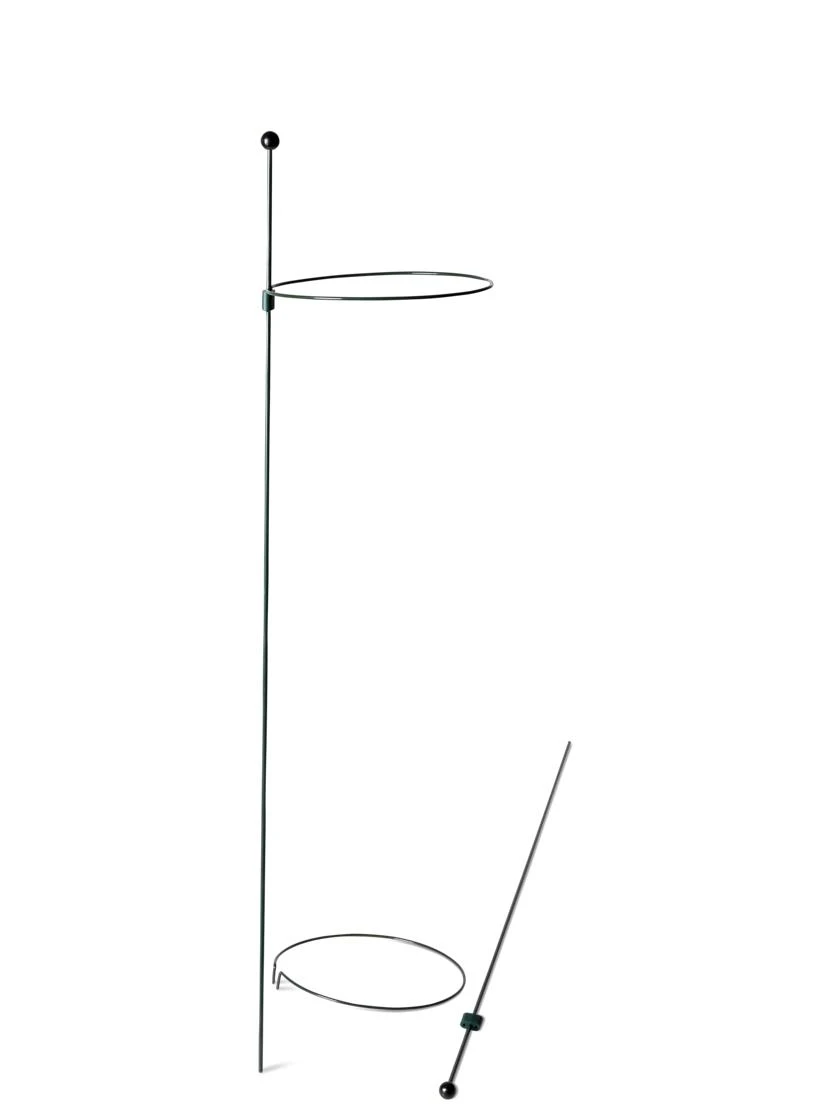 Peacock Mini Plant Support Rings 8", Set Of 2 7 Peacock Mini Plant Support Rings 8", Set Of 2 - Image 7