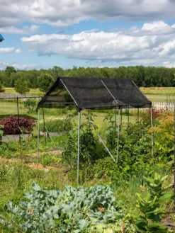 Connector Kit For DIY Peaked Roof Frame For In Ground Garden Bed 11 Connector Kit For DIY Peaked Roof Frame For In Ground Garden Bed -Deals The Garden & Yard Store 8610472 0058